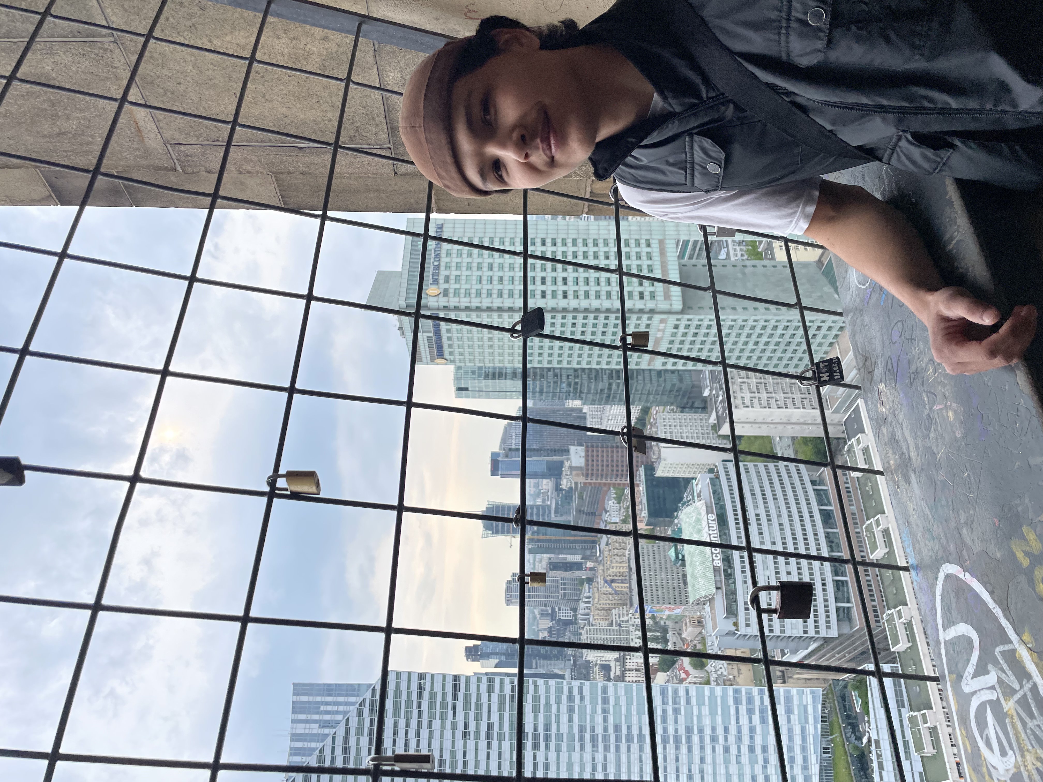 Developer